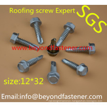 Screw Tek Screw Roofing Screw Bolts